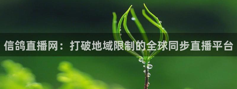 鲸鱼体育.：信鸽直播网：打破地域限制的全球同步直播平台